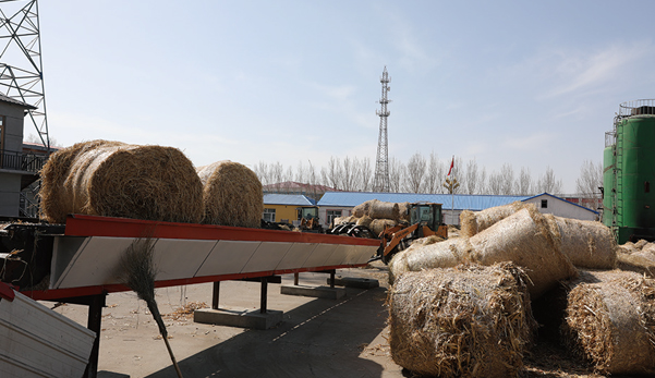 山東省：推進生物質鍋爐等清潔能源供暖