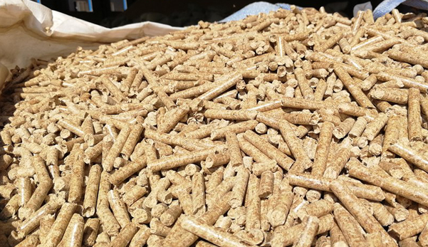 生態(tài)環(huán)境部回應(yīng)！生物質(zhì)成型燃料不是高污染燃料